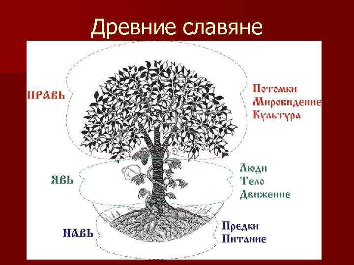 Древние славяне 