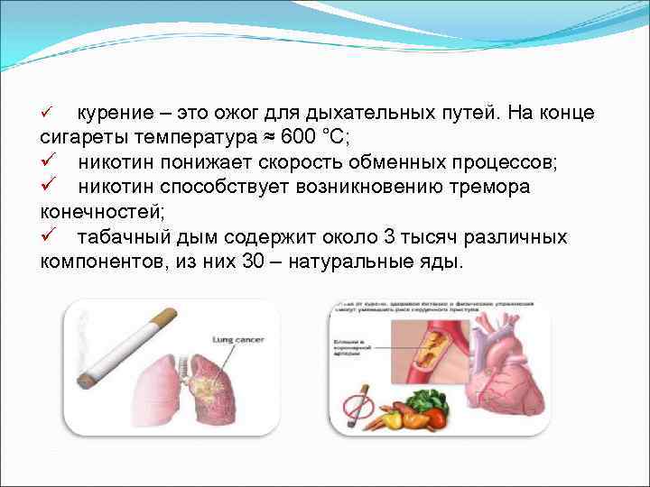 ü курение – это ожог для дыхательных путей. На конце сигареты температура ≈ 600