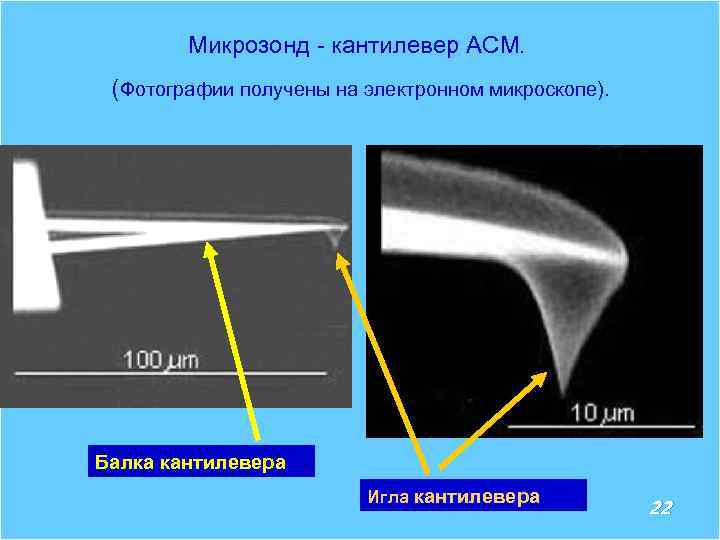 Микрозонд - кантилевер АСМ. (Фотографии получены на электронном микроскопе). Балка кантилевера Игла кантилевера 22