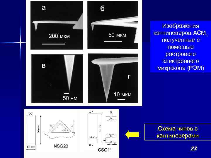 Изображения кантилеверов АСМ, полученные с помощью растрового электронного микрскопа (РЭМ) Схема чипов с кантилеверами