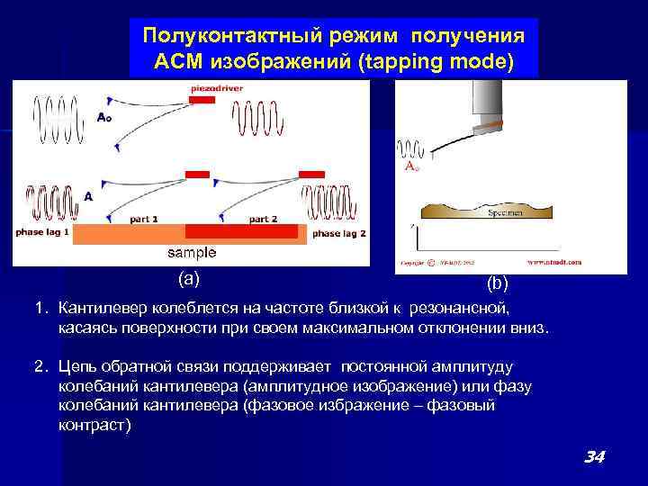 Получение режим. Атомно силовая микроскопия полуконтактный режим. Полуконтактный режим АСМ. Контактный режим атомно силовой микроскоп. Атомно-силовая микроскопия полуконтактный метод.