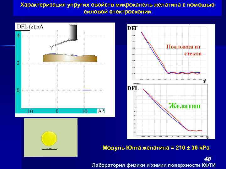 Характеризация упругих свойств микрокапель желатина с помощью силовой спектроскопии Модуль Юнга желатина = 210