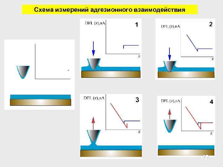 Схема измерений адгезионного взаимодействия 42 