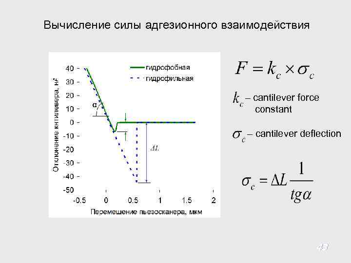 Вычисление силы адгезионного взаимодействия – cantilever force constant – cantilever deflection 43 