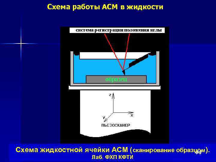 Схема работы АСМ в жидкости Схема жидкостной ячейки АСМ (сканирование образцом). 44 Лаб. ФХП