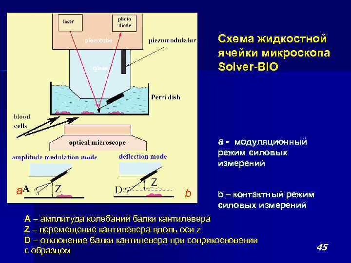 Схема жидкостной ячейки микроскопа Solver-BIO piezotube glass a - модуляционный режим силовых измерений a