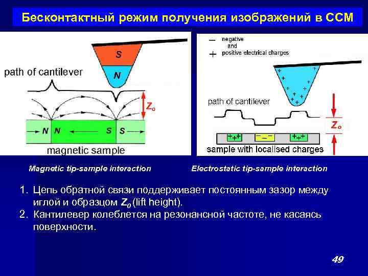 Бесконтактный режим получения изображений в ССМ Magnetic tip-sample interaction Electrostatic tip-sample interaction 1. Цепь