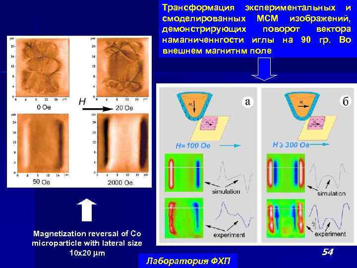 Трансформация экспериментальных и смоделированных МСМ изображений, демонстрирующих поворот вектора намагниченнгости иглы на 90 гр.