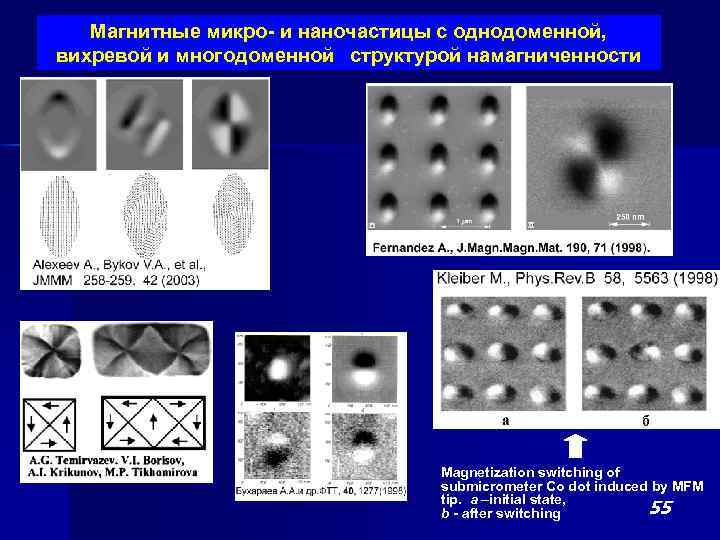 Магнитные микро- и наночастицы с однодоменной, вихревой и многодоменной структурой намагниченности Magnetization switching of