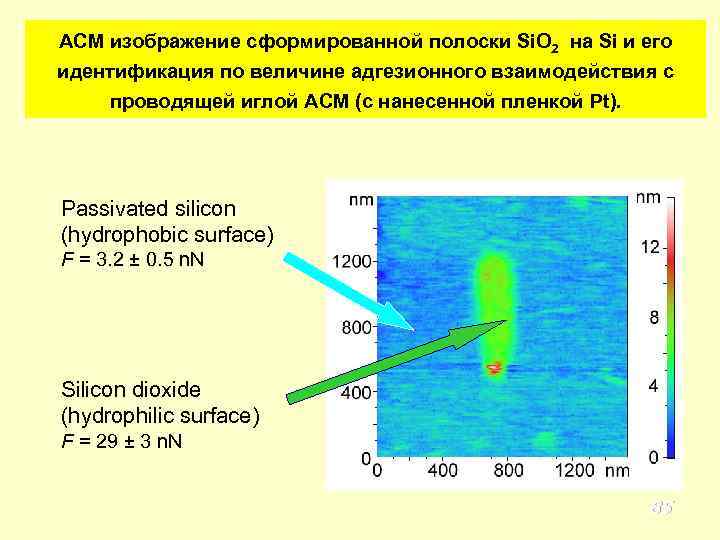 АСМ изображение сформированной полоски Si. O 2 на Si и его идентификация по величине