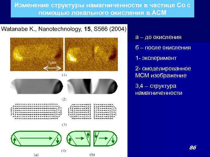 Изменение структуры намагниченности в частице Со с помощью локального окисления в АСМ а –