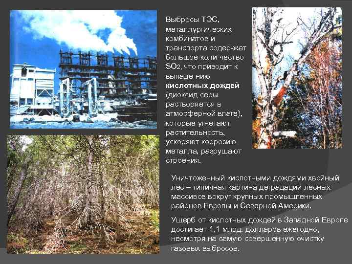 Выбросы ТЭС, металлургических комбинатов и транспорта содер-жат большое коли-чество SO 2, что приводит к