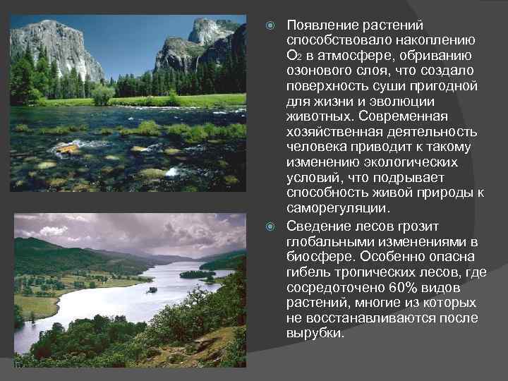 Появление растений способствовало накоплению О 2 в атмосфере, обриванию озонового слоя, что создало поверхность
