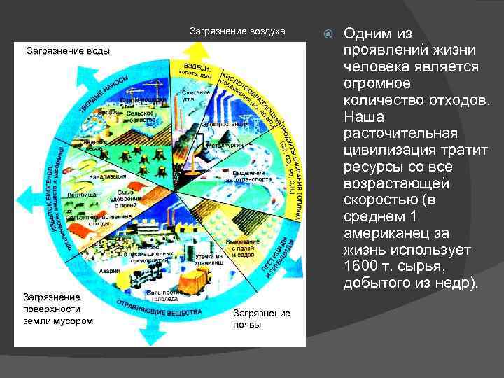 Загрязнение воздуха Загрязнение воды Загрязнение поверхности земли мусором Загрязнение почвы Одним из проявлений жизни