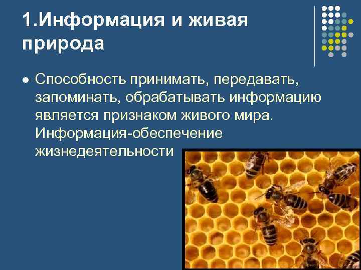 1. Информация и живая природа l Способность принимать, передавать, запоминать, обрабатывать информацию является признаком