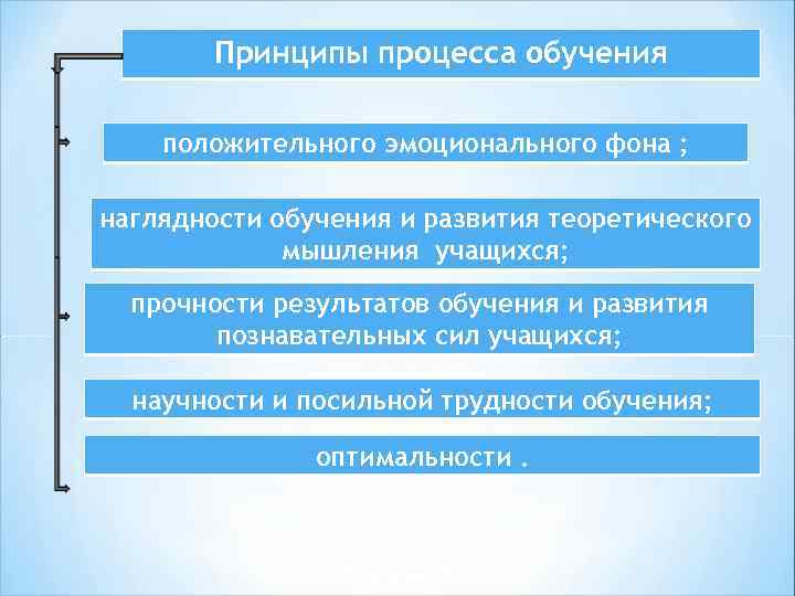 Принципы процесса обучения положительного эмоционального фона ; наглядности обучения и развития теоретического мышления учащихся;