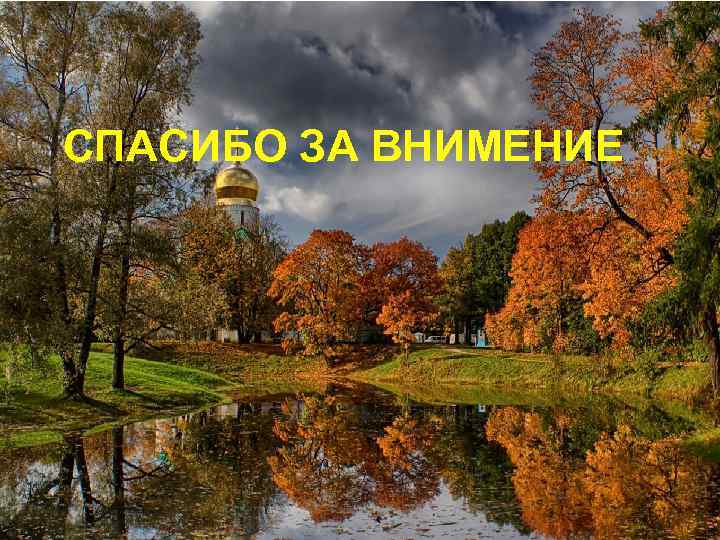 СПАСИБО ЗА ВНИМЕНИЕ 