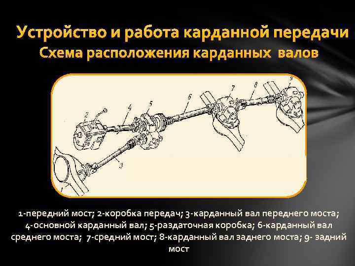 Устройство и работа карданной передачи Схема расположения карданных валов 1 передний мост; 2 коробка