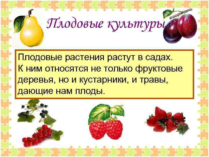 Плодовые культуры Плодовые растения растут в садах. К ним относятся не только фруктовые деревья,