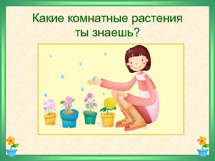Какие комнатные растения ты знаешь? 