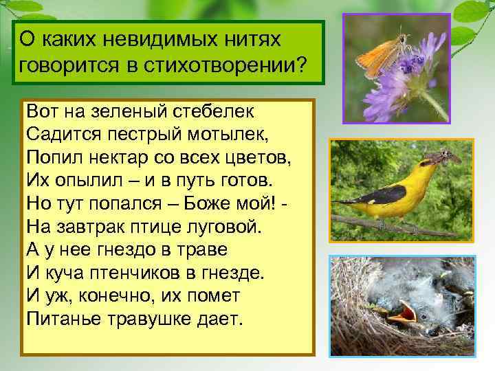 О каких невидимых нитях говорится в стихотворении? Вот на зеленый стебелек Садится пестрый мотылек,
