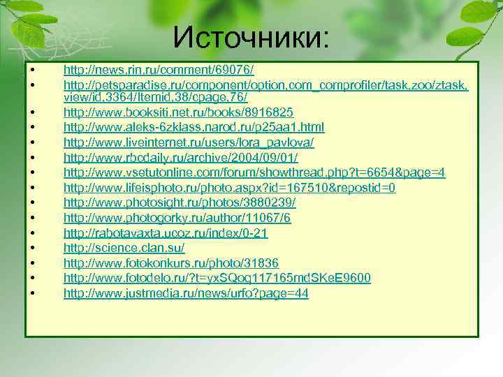 Источники: • • • • http: //news. rin. ru/comment/69076/ http: //petsparadise. ru/component/option, com_comprofiler/task, zoo/ztask,