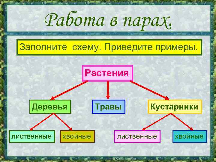 Работа в парах. Заполните схему. Приведите примеры. Растения Деревья лиственные хвойные Травы Кустарники лиственные