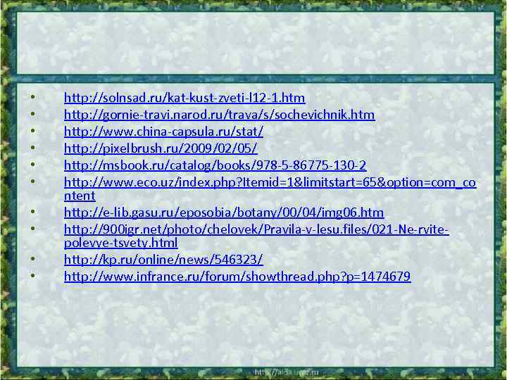  • • • http: //solnsad. ru/kat-kust-zveti-l 12 -1. htm http: //gornie-travi. narod. ru/trava/s/sochevichnik.