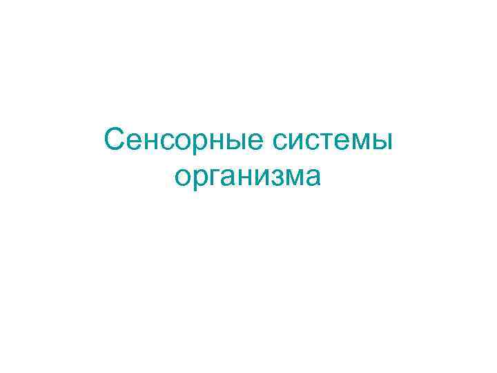 Сенсорные системы организма 