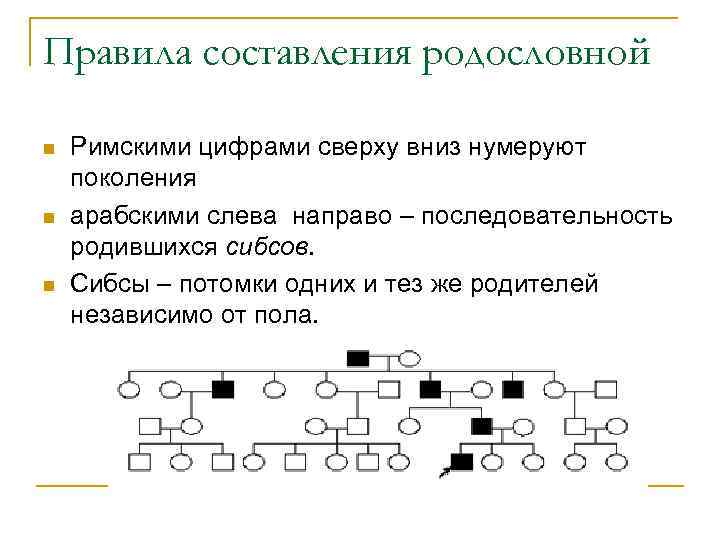 Графическое изображение родословной