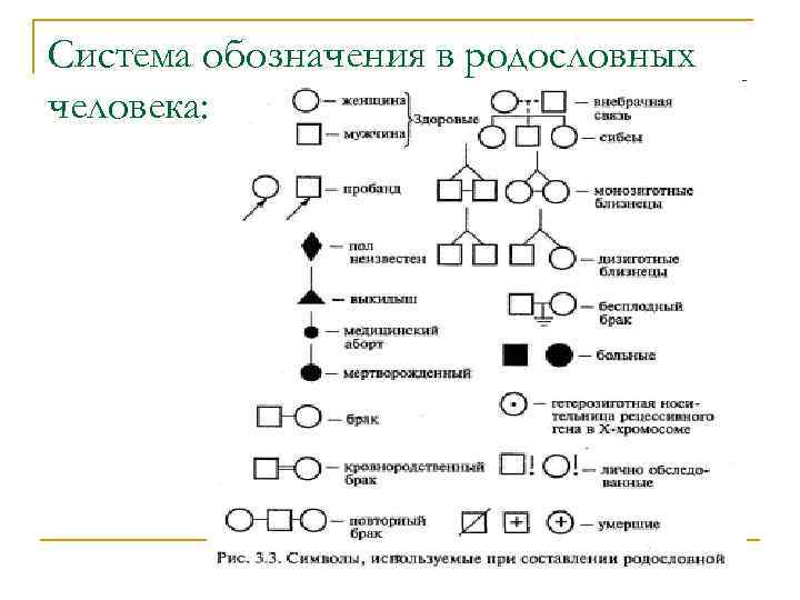 Генеалогический. Генеалогический метод обозначения в родословных. Родословная пробанд схема. Условные обозначения для составления родословной.