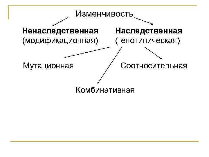 Виды изменчивости биология