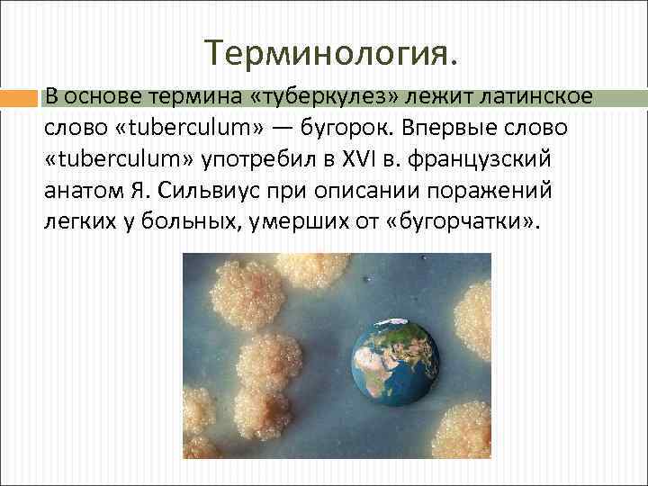 Терминология. В основе термина «туберкулез» лежит латинское слово «tuberculum» — бугорок. Впервые слово «tuberculum»