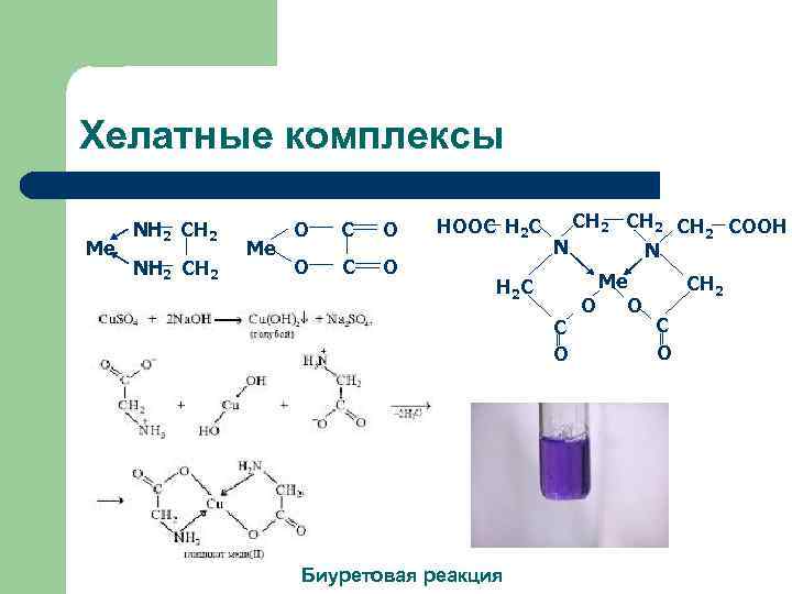 Хелатные комплексы Me NH 2 CH 2 Me O C O HOOC H 2