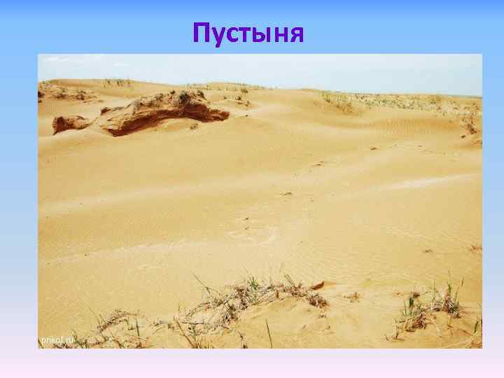 Пустыня 
