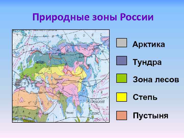 Природные зоны России Арктика Тундра Зона лесов Степь Пустыня 