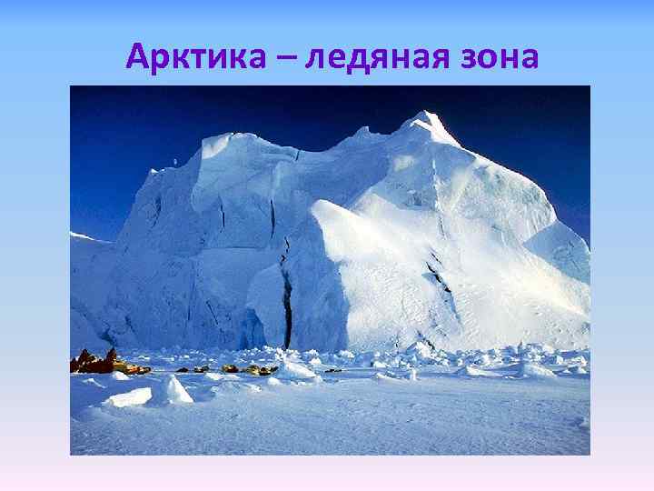 Арктика – ледяная зона 
