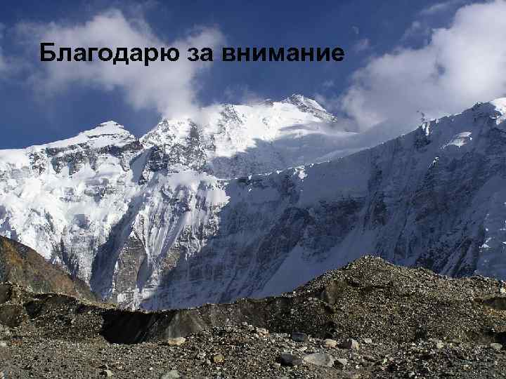 Благодарю за внимание 