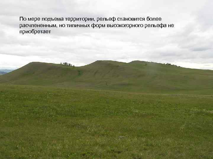 По мере подъема территории, рельеф становится более расчлененным, но типичных форм высокогорного рельефа не