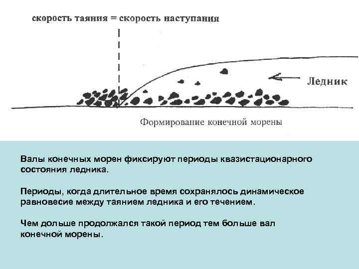 Валы конечных морен фиксируют периоды квазистационарного состояния ледника. Периоды, когда длительное время сохранялось динамическое