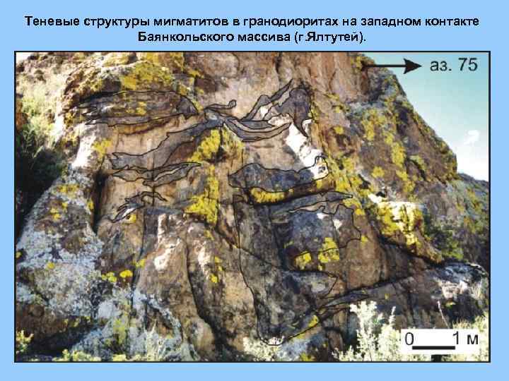 Теневые структуры мигматитов в гранодиоритах на западном контакте Баянкольского массива (г. Ялтутей). 