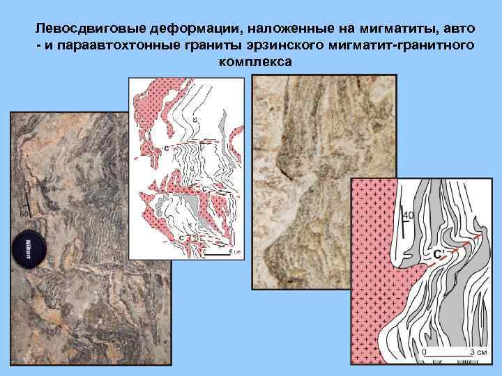 Левосдвиговые деформации, наложенные на мигматиты, авто - и параавтохтонные граниты эрзинского мигматит-гранитного комплекса 