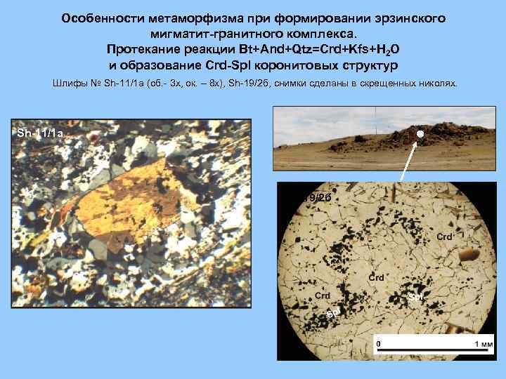 Особенности метаморфизма при формировании эрзинского мигматит-гранитного комплекса. Протекание реакции Bt+And+Qtz=Crd+Kfs+H 2 O и образование