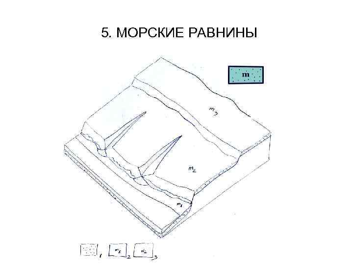 5. МОРСКИЕ РАВНИНЫ 