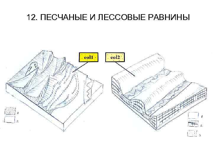 12. ПЕСЧАНЫЕ И ЛЕССОВЫЕ РАВНИНЫ 