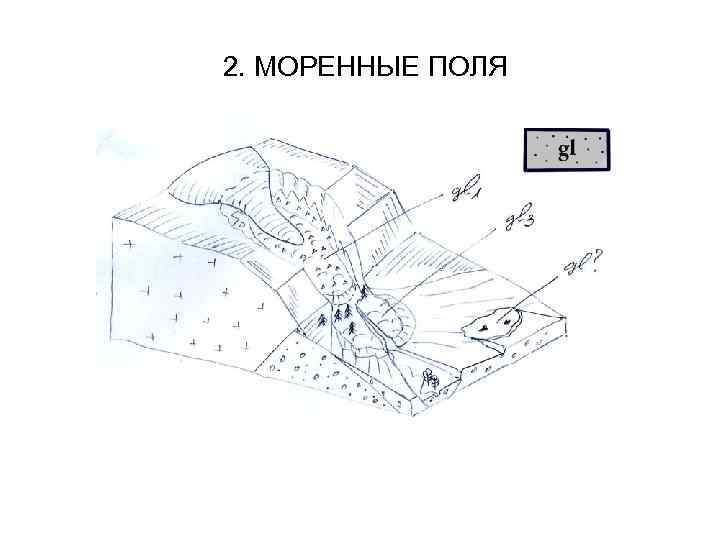 2. МОРЕННЫЕ ПОЛЯ 