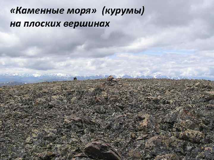  «Каменные моря» (курумы) на плоских вершинах 