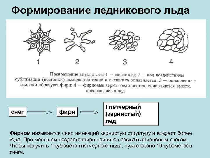 Формирование ледникового льда снег фирн Глетчерный (зернистый) лед Фирном называется снег, имеющий зернистую структуру