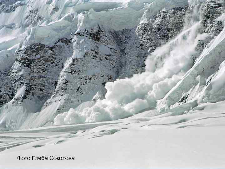 Фото Глеба Соколова 