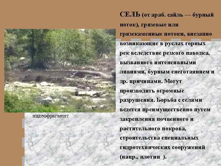 СЕЛЬ (от араб. сайль — бурный поток), грязевые или грязекаменные потоки, внезапно возникающие в